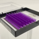 Rzęsy kolorowe Violet GLOSS